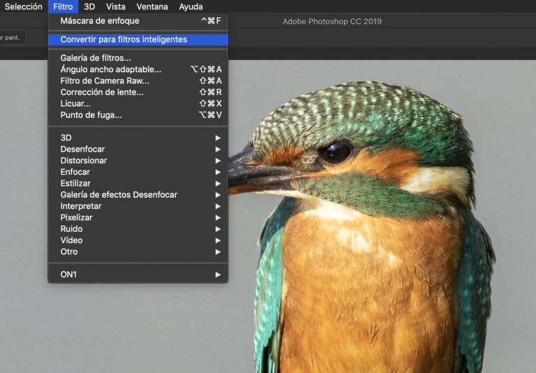 Enfocar en con la Máscara de Enfoque Lázaro