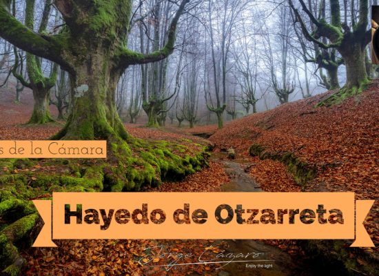 Hayedo de Otzarreta - Jorge Lázaro