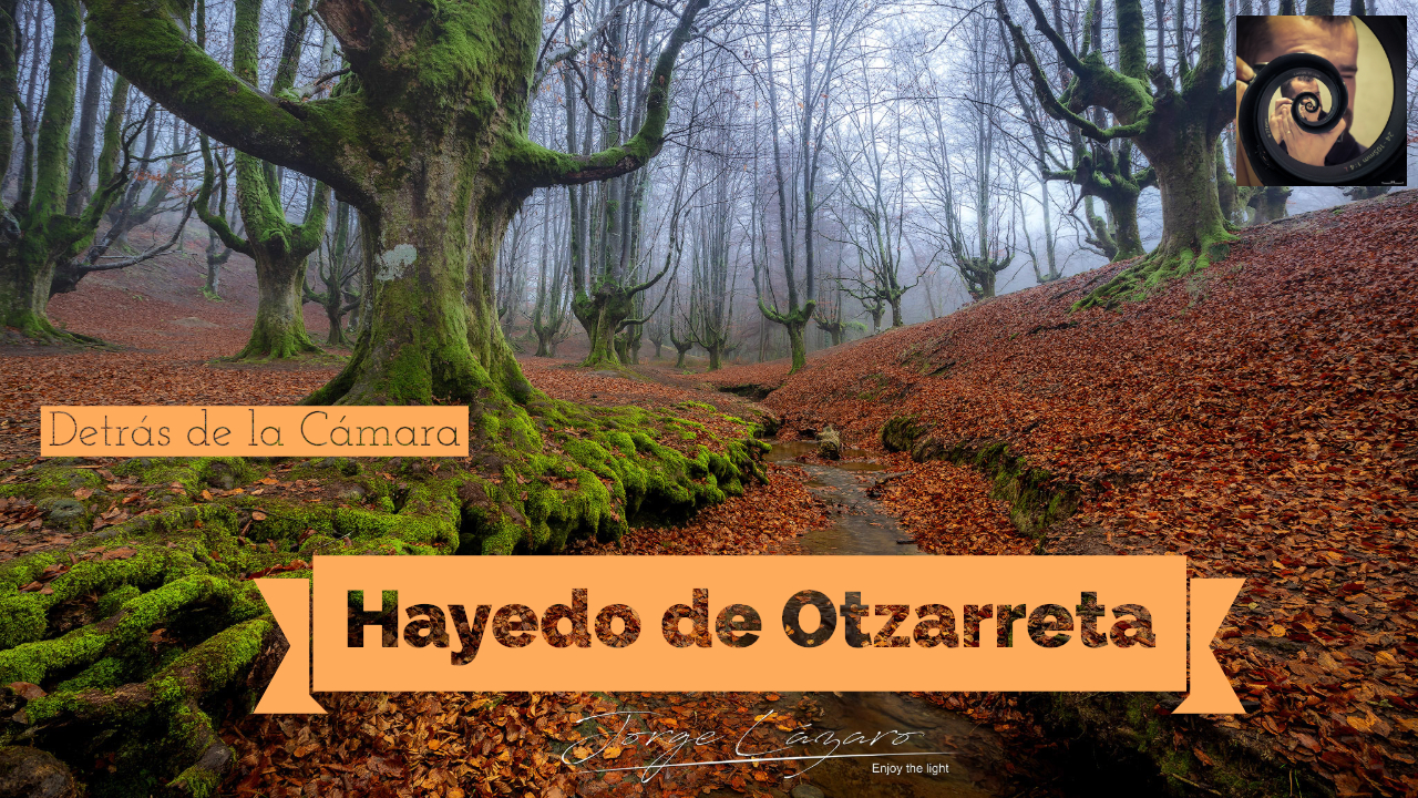 Hayedo de Otzarreta - Jorge Lázaro