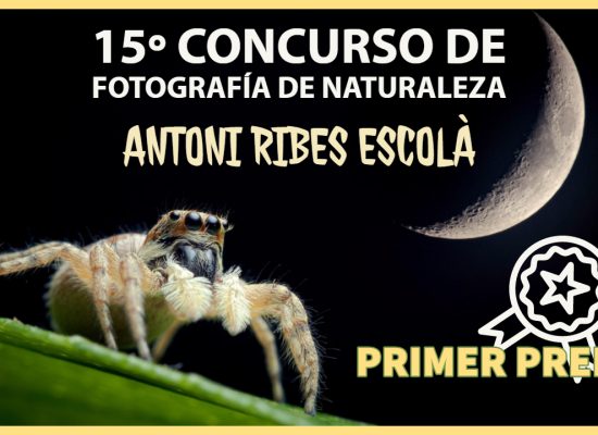 Concurso fotografía - Jorge Lázaro