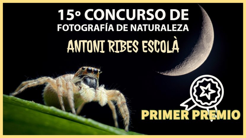 Concurso fotografía - Jorge Lázaro