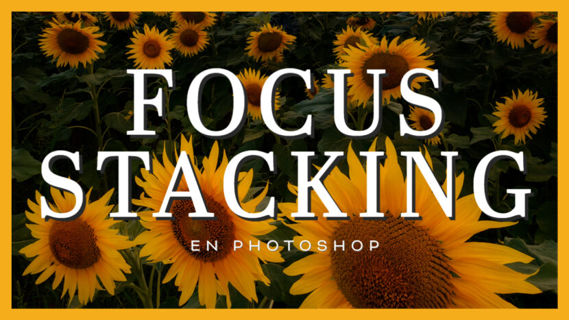 Tutorial Focus stacking